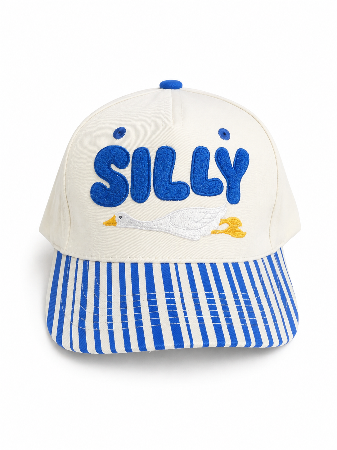 Silly Goose Striped Hat